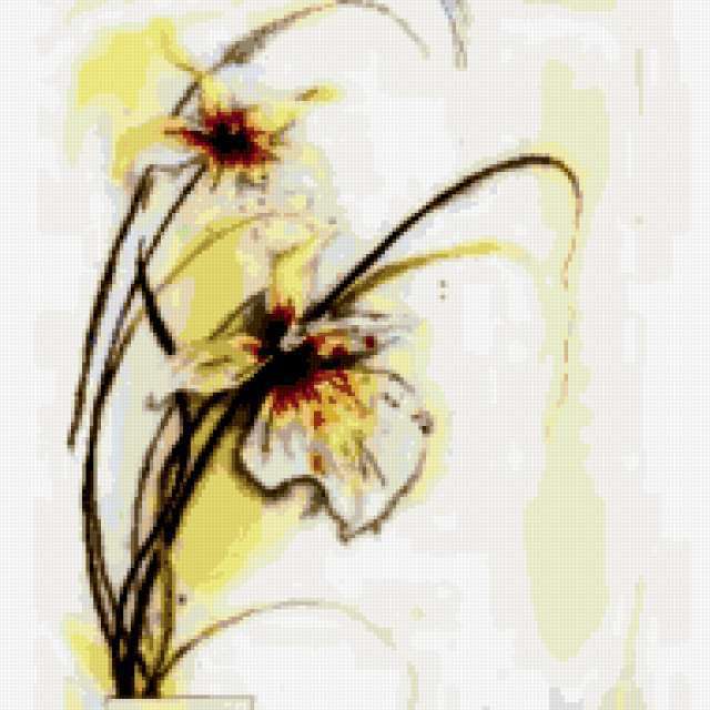 Орхидеи, цветы, орхидеи