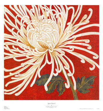 , цветы, хризантемы, подушка