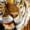Уссурийский тигр: предпросмотр