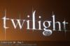 Схема вышивки «Twilight»