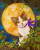 Лунный котенок: оригинал