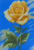 Схема вышивки «Роза на голубом»