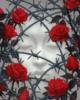 Схема вышивки «Шипы и розы»