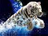 Схема вышивки «Прыжок белого тигра»