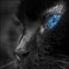Черная кошка5): оригинал