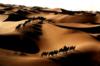 Схема вышивки «Пустыня и караваны»