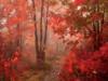 Осенний лес: оригинал