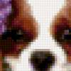 Собака в цветах гортензии: предпросмотр