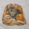 Схема вышивки «Кошка с тыквами»