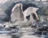 Белый лебедь на пруду: оригинал