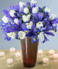 Белые тюльпаны и фиолет.ирисы: оригинал