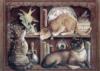 Схема вышивки «Кошки, кошки, кошки»