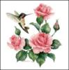 Схема вышивки «Колибри у роз»