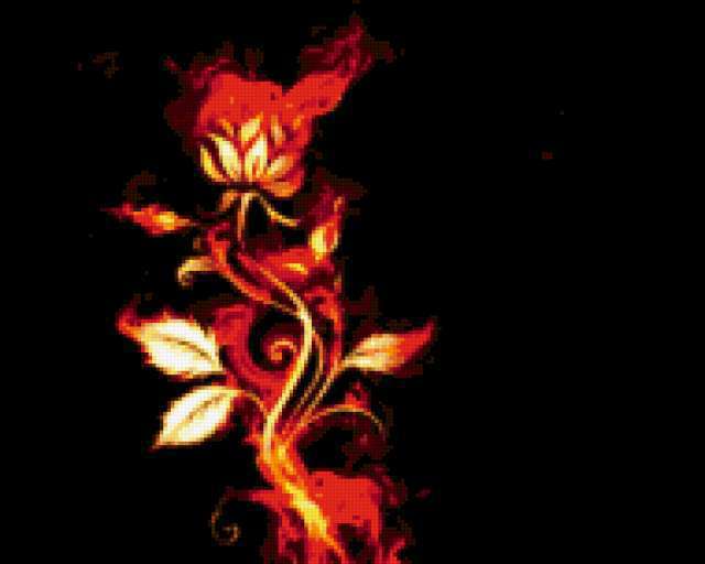 Огненный цветок. Огонь. Оранжевые розы. Цвет огненной росы. Цвет огненной росы.