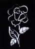 Схема вышивки «Черно-белая роза»