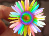 Схема вышивки «Радужный цветок»