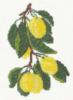 Схема вышивки «Ветка лимона»