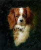 Схема вышивки «Портрет собаки»