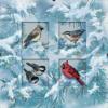 Схема вышивки «Зимующие птицы»