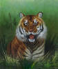 Тигр в траве: оригинал