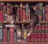 Схема вышивки «Кот-книголюб»