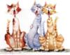 Схема вышивки «Кошачий хор»