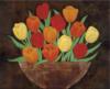 Разноцветные тюльпаны: оригинал