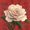 Китайская роза: оригинал