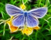 Бабочка на цветке: оригинал