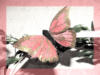Схема вышивки «Серия "Бабочки"»