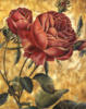 Схема вышивки «Романтические розы»