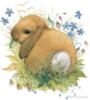 Схема вышивки «Кролик милашка правда»
