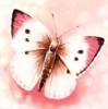 Схема вышивки «Розовая бабочка»