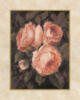 Схема вышивки «Розы,3»