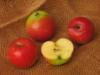 Схема вышивки «Яблоки»