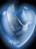 Схема вышивки «Сердце с голубем»
