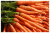 Схема вышивки «Морковь»