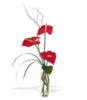 Red Anthurium: оригинал