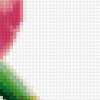Розовый тюльпан: предпросмотр