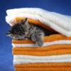 Схема вышивки «Котёнок в полотенцах»