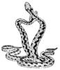 Схема вышивки «Змеи»