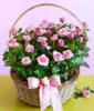 Схема вышивки «Basket with Pink Roses»