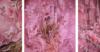 Схема вышивки «Триптих "Замок в розовом"»
