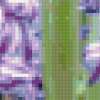 Two Hyacinths: предпросмотр