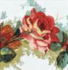 Схема вышивки «Роза в цвету»