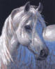 Схема вышивки «Белая лошадь мечты»