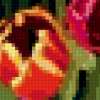 Bouquet of Tulips: предпросмотр