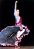 Схема вышивки «Flamenco»