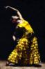 Схема вышивки «Flamenco Dancer»