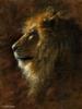 Схема вышивки «A Lion Head»